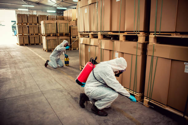 Best Emergency Pest Control  in Clinton, MD