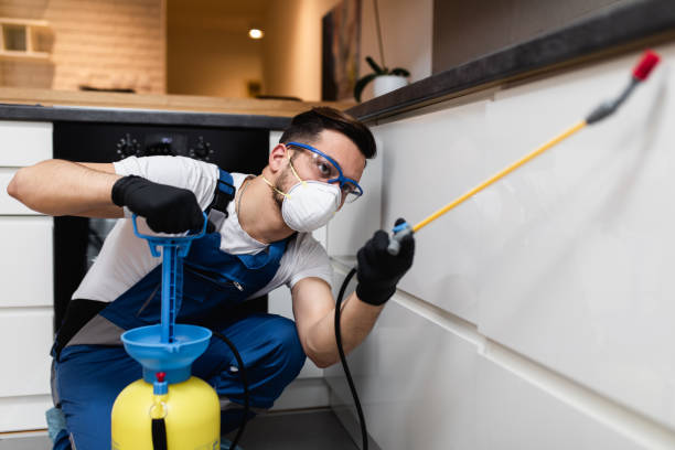 Wildlife Control Services in Clinton, MD