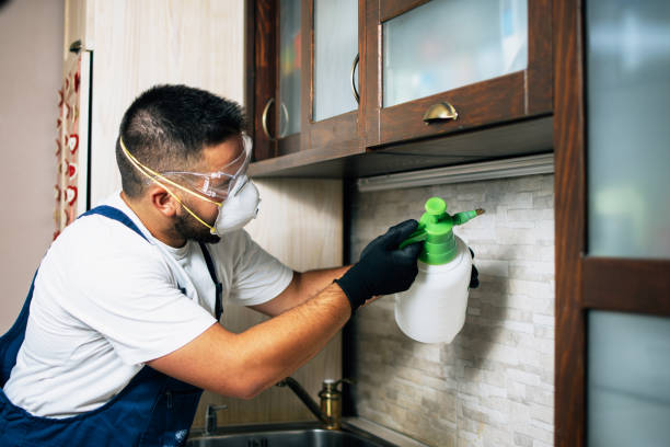 Best Exterminator Services  in Clinton, MD