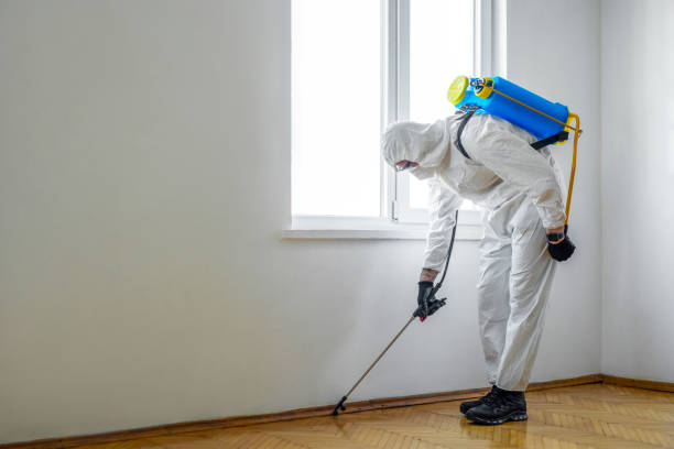 Best Ant Control Services  in Clinton, MD