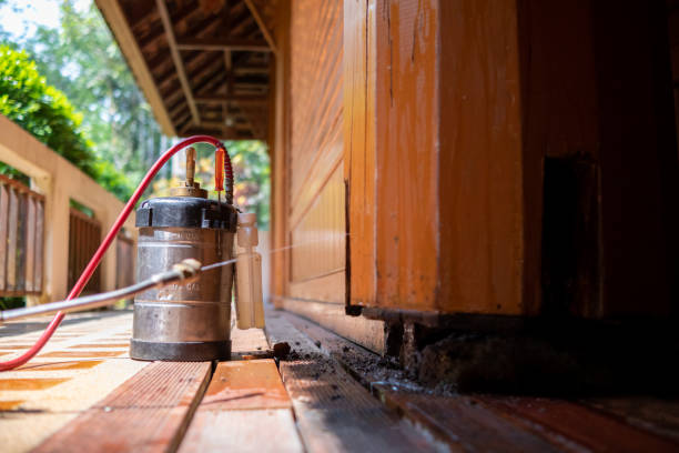 Pest Control Cost in Clinton, MD