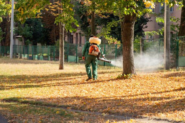 Best Cockroach Control Services  in Clinton, MD
